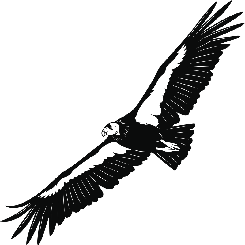 CONDOR SERIES